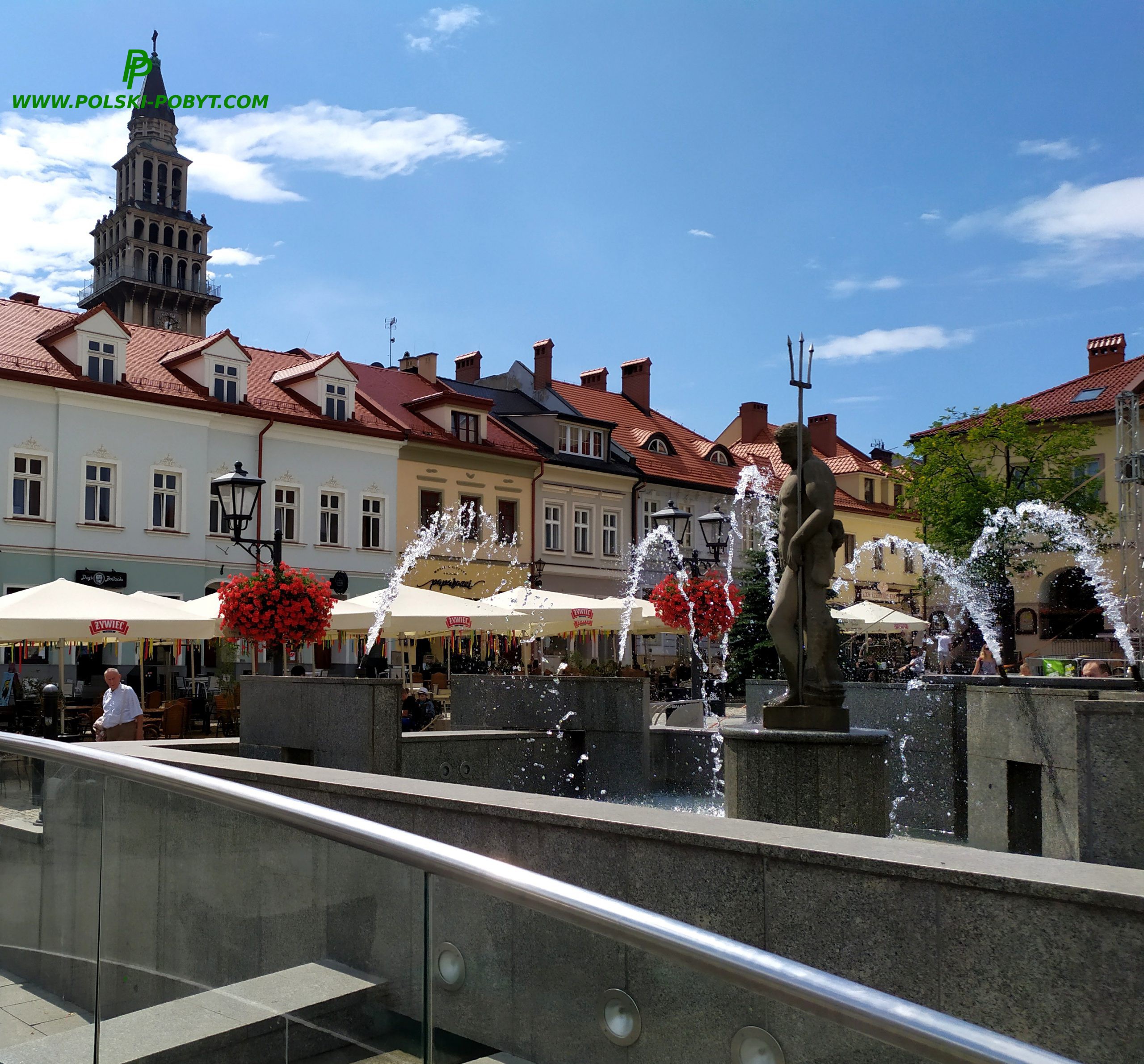 Rynek